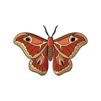 Illustrative moth with striking wing patterns on a white background vector