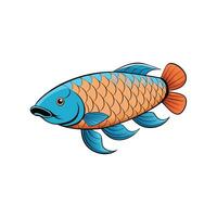 Stylized illustration of an arowana fish on a white background vector