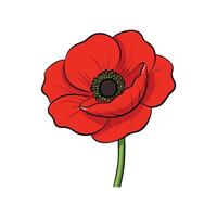 Graphic illustration of a vibrant red poppy flower isolated vector