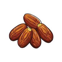 Pile of delicious looking dates, an illustration style image vector