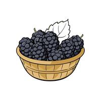 Handdrawn style basket with mulberries and green leaf vector