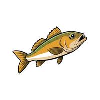 Illustration of walleye fish with bold outline on white vector
