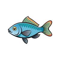Cartoon style fish illustration on a white background vector