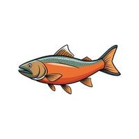 Isolated salmon illustration with defined outlines on a white background vector