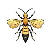 Cartoon bee with a happy expression on white backdrop vector