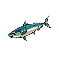 Illustration of a detailed Mackerel fish on white background vector