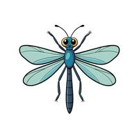 Cartoon Dragonfly Illustration with Transparent Wings on White Background vector