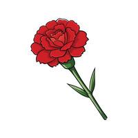 Illustrated red carnation with green stem and leaves vector