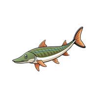 Cartoon pike fish illustration with bold outlines and colors vector