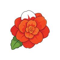 Vivid orange flower illustration with leaf on white background vector