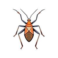 Cartoon illustration of a flat leaffooted bug isolated vector