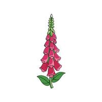 Cartoon illustration of vibrant foxglove flower isolated on white vector