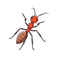 Cartoon ant illustration on white background stock image resource vector