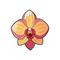 Graphic single orchid flower bloom on a white background vector
