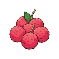 Group of fresh lychee fruits with leaf and stem vector