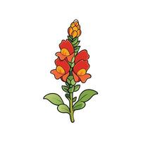 Isolated cartoon snapdragon flower illustration with detailed lines outline vector