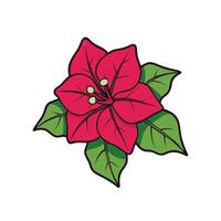 Bougainvillea flower illustration, showing vibrant colors and cartoon style vector
