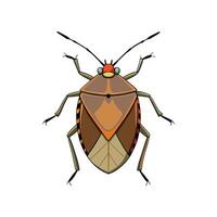 Stylized cartoon shield bug illustration on white background vector