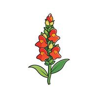 Cartoon snapdragon flower illustration with orange blossoms and green leaves vector