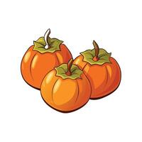 Three cartoon persimmons with stem and leaf on white vector