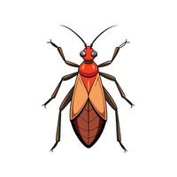 Cartoon insect illustration featuring seed bug on white background vector