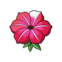 Vibrant pink petunia flower illustration with leaves isolated vector