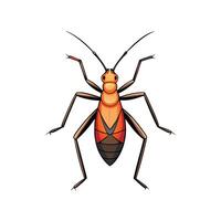 Illustration of colorful bug with long antennas and legs vector