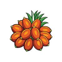 Bunch of peach palm fruits and green leaves illustration vector