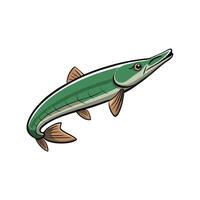 Cartoon barracuda fish with long snout and sharp teeth vector
