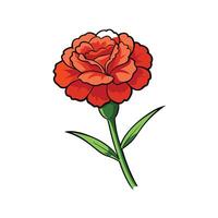 Illustrated red carnation flower with leaves on white background vector