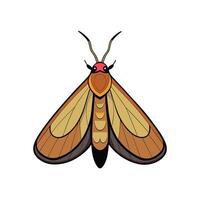 Brown and tan moth with wings spread open vector