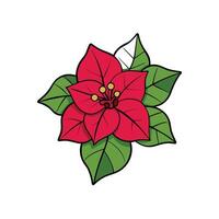 Cartoon Poinsettia Flower Illustration with Red and Green Leaves vector