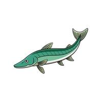 Stylized cartoon barracuda fish with simple design on white vector
