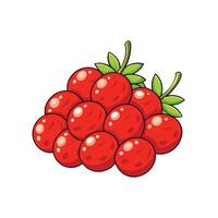 Cartoon style image of vibrant red grapes bunch vector