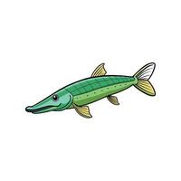 Cartoon northern pike illustration, clean design, colorful background vector