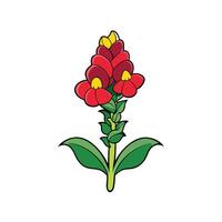 Bright red and yellow ginger flower isolated on white background vector
