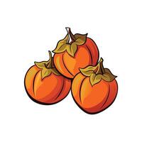 Three ripe cartoon persimmons with defined line art style vector