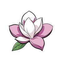 Elegant Magnolia Flower Illustration with Clean Lines and Soft Colors vector