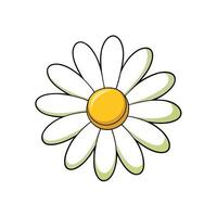Cartoon daisy illustration with soft white petals and center vector