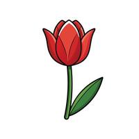 Stylized red tulip illustration with green stem and leaf vector