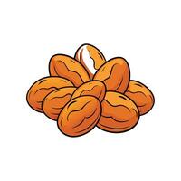 Pile of shiny cartoon almonds on a white background vector