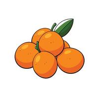 Cartoon style oranges with leaf illustration on white background vector