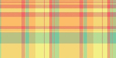 Vibrant pastel plaid pattern. Perfect for textile design, website backgrounds, or summerthemed projects. This cheerful, optimistic design evokes feelings of warmth and joy. vector