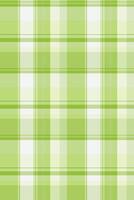 Fresh, springinspired green and white plaid pattern. Ideal for textile designs, website backgrounds, or crafting projects. vector