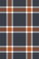 Nyc texture background textile, skirt fabric plaid pattern. Direct check seamless tartan in dark and white colors. vector