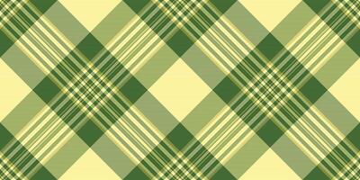 Elegant green and beige plaid pattern. Perfect for textile design, fashion, websites, and packaging. This seamless texture evokes a sense of classic style and sophistication. vector