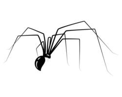 Minimalist illustration of a spider, symbolizing fear or Halloween. Clean, modern design ideal for web use, infographics or spooky themed graphics. Editable . vector