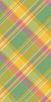 Vibrant pastel plaid pattern. Perfect for textile design, fashion, branding, and web backgrounds. This cheerful, intersecting line design evokes feelings of spring and optimism. vector
