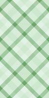 Small tartan textile check, domestic texture seamless. Us background pattern plaid fabric in light and green colors. vector
