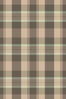 Subtle neutral plaid pattern. Perfect for textile design, website backgrounds, or packaging. Evokes feelings of warmth and comfort. Versatile, elegant, and timeless design. vector